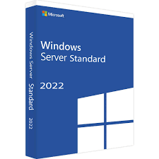 Microsoft Windows Server 2022 Standard - My Store